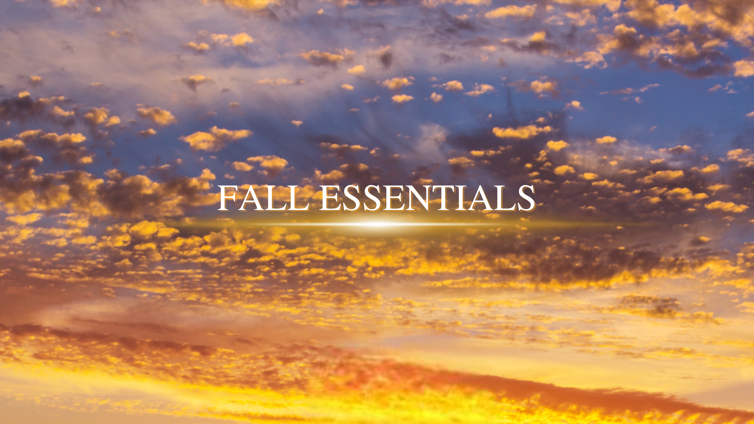 FALL 2025 Collection