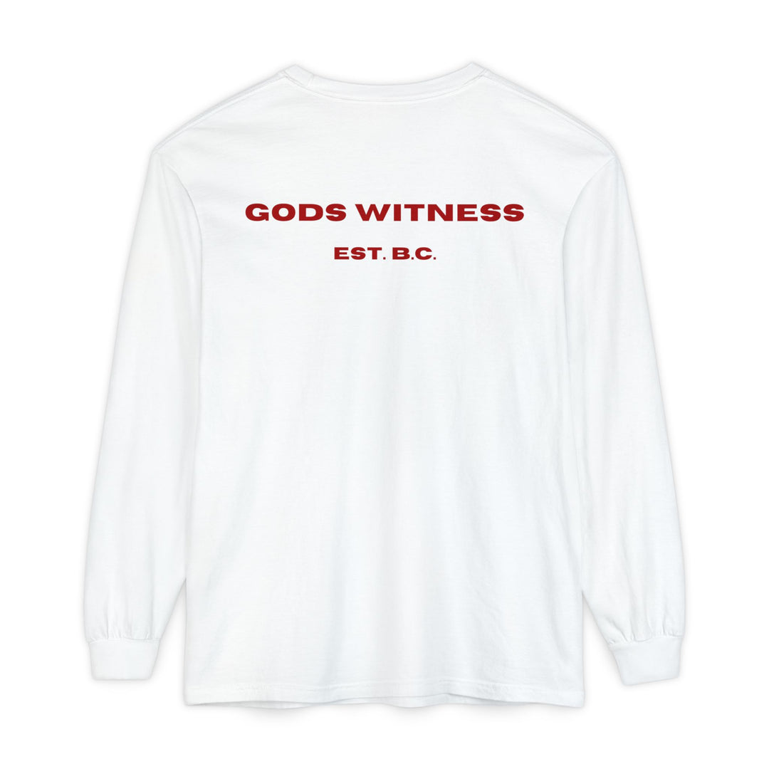 God's Witness Long Sleeve Tee — Faith-Based Graphic Shirt