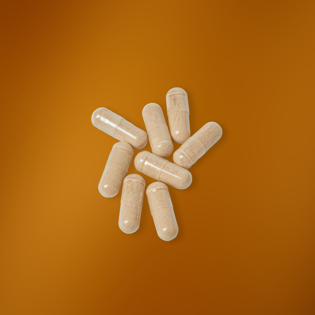 Brain Support Complex Supplement (60 Capsules)