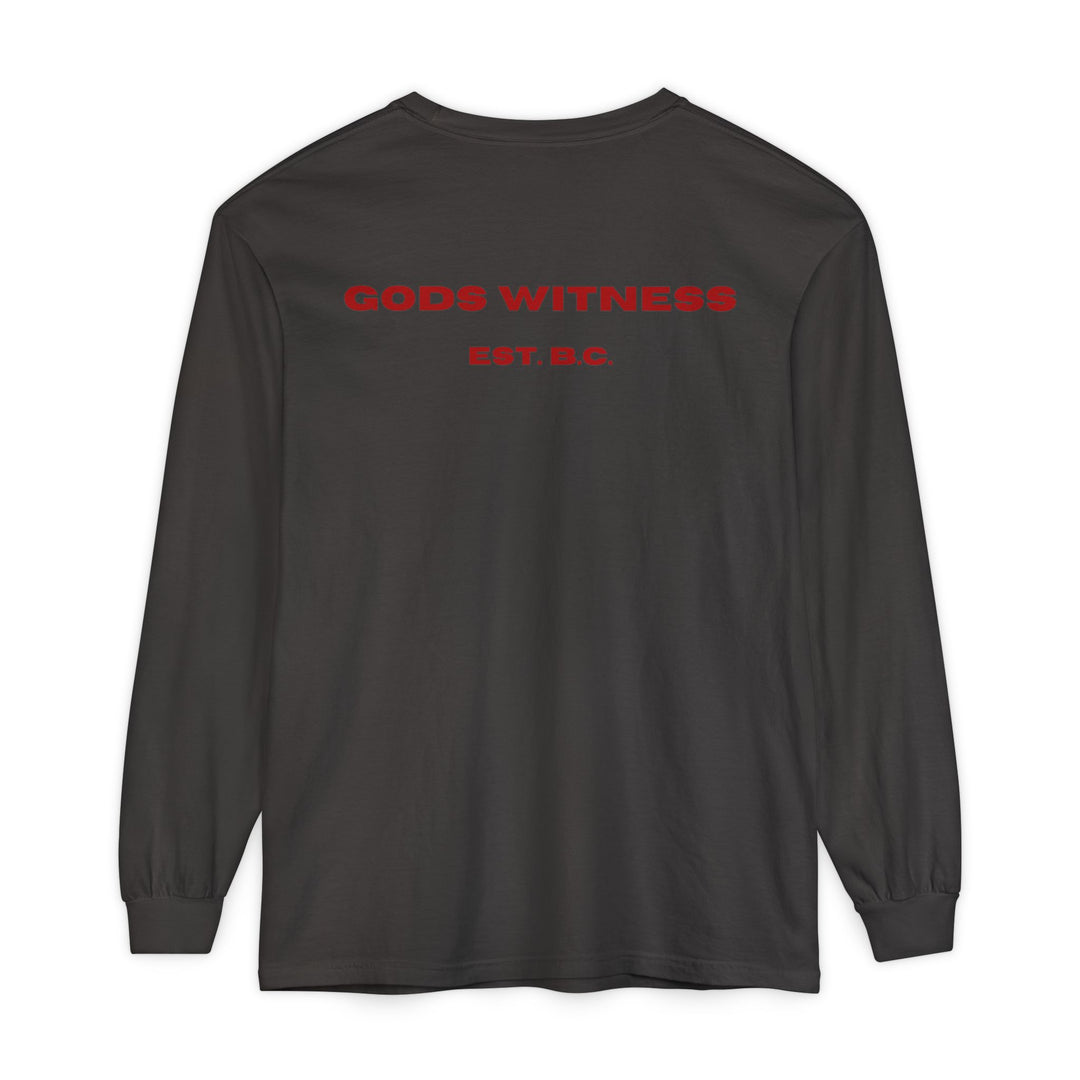 God's Witness Long Sleeve Tee — Faith-Based Graphic Shirt