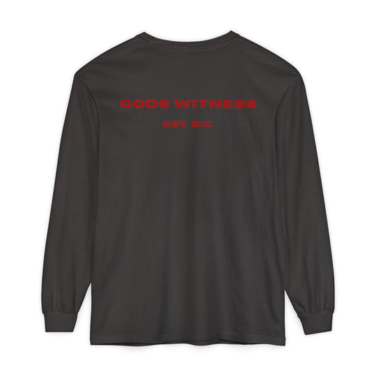God's Witness Long Sleeve Tee — Faith-Based Graphic Shirt