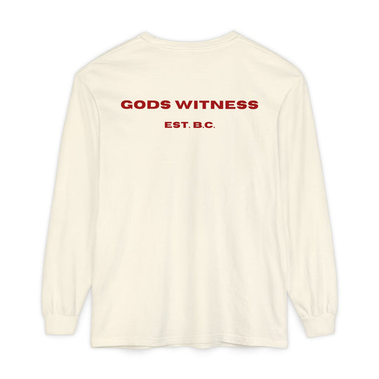 God's Witness Long Sleeve Tee — Faith-Based Graphic Shirt