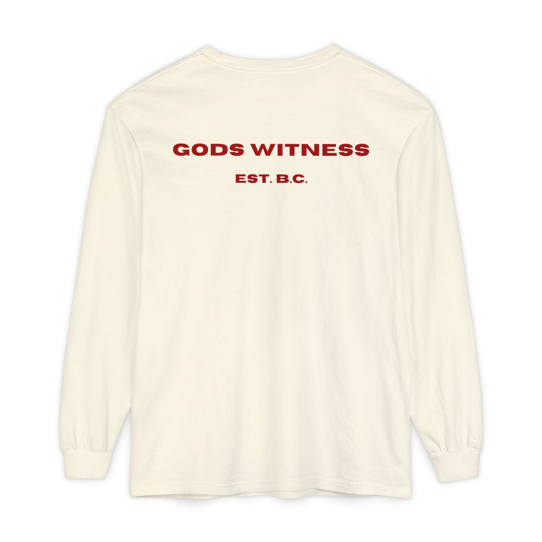 God's Witness Long Sleeve Tee — Faith-Based Graphic Shirt