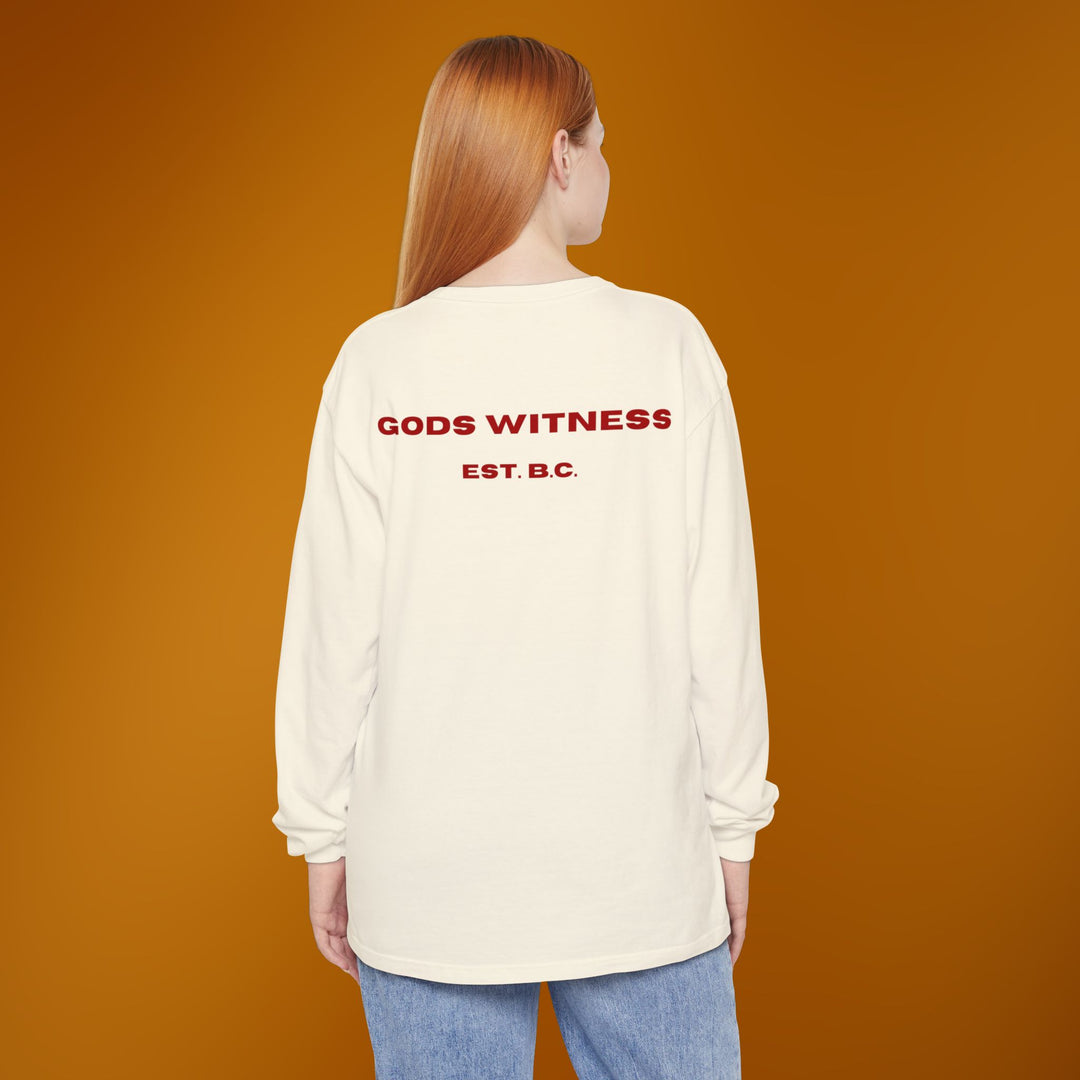 God's Witness Long Sleeve Tee — Faith-Based Graphic Shirt