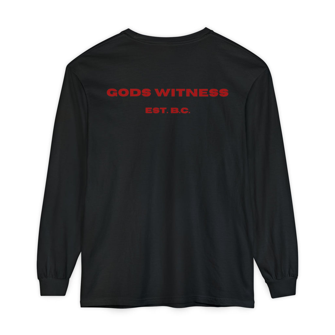 God's Witness Long Sleeve Tee — Faith-Based Graphic Shirt