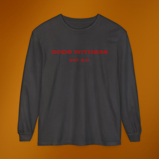 God's Witness Long Sleeve Tee — Faith-Based Graphic Shirt