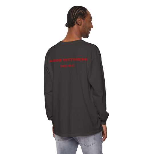 God's Witness Long Sleeve Tee — Faith-Based Graphic Shirt